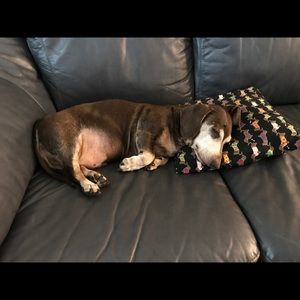 Meet your Posher, Kathy